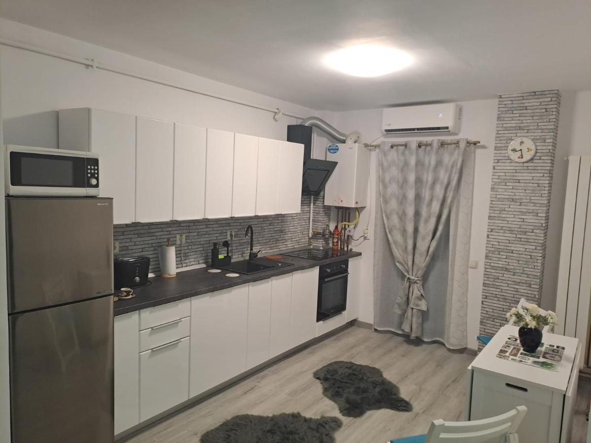 Apartament Bio Selimbar Exterior foto